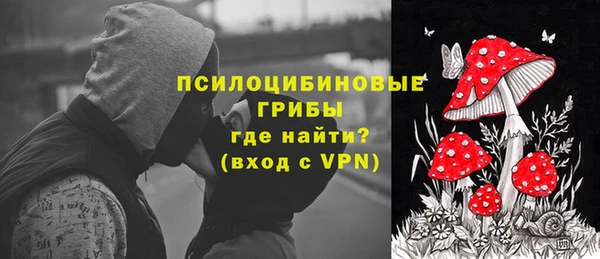 МДПВ Протвино