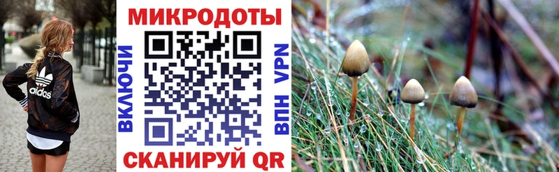 купить   Вятские Поляны  Псилоцибиновые грибы мухоморы 