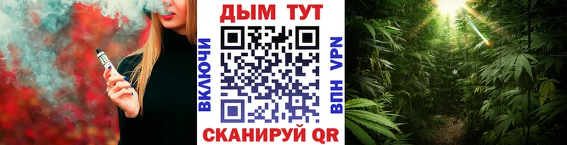 Шишки марихуана Amnesia  Вятские Поляны 